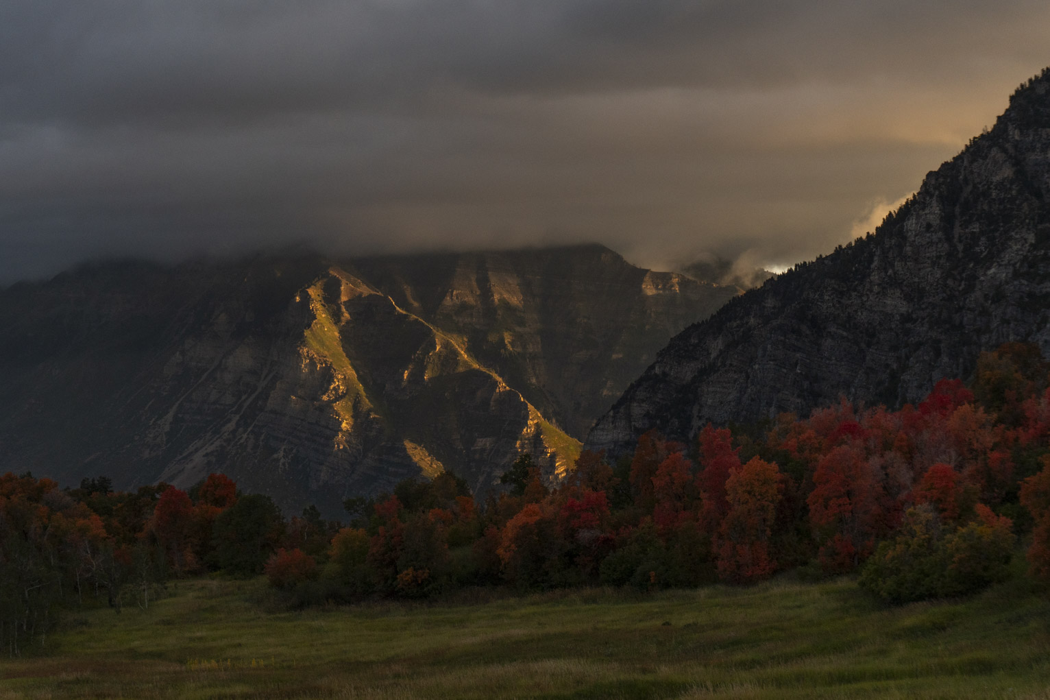 The rising sun lights the canyon walls, incredibly red trees in the foreground